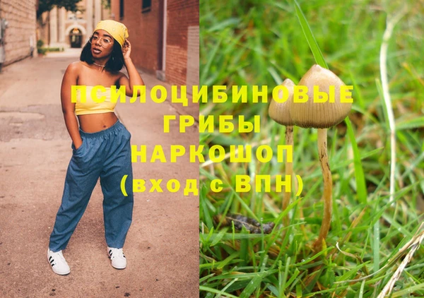 скорость Саяногорск